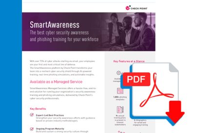 Avanan - Essential Guide To Email Security